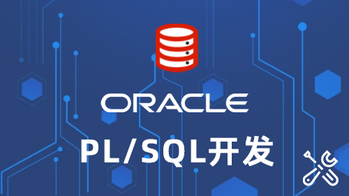 Oracle PLSQL 开发