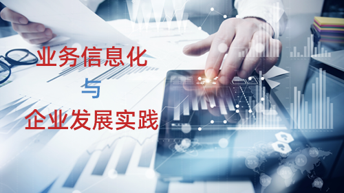 业务信息化与企业发展实践