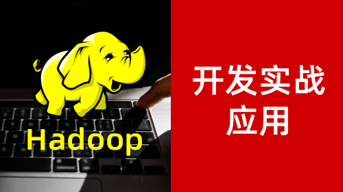 Hadoop 开发实战应用