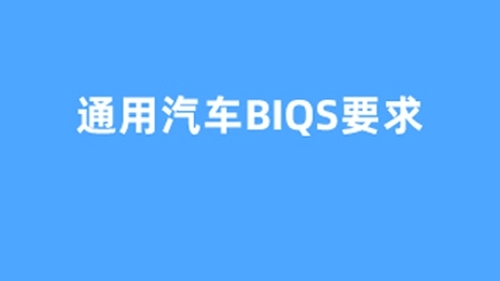 通用汽车BIQS要求 实战培训