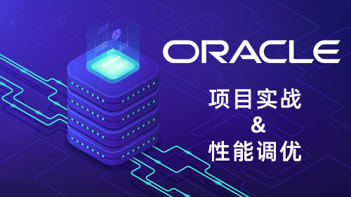 Oracle 项目实战+性能调优